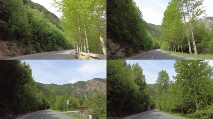 山间公路绿色风光