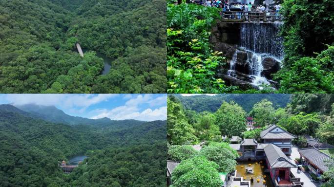 广东肇庆鼎湖山 精彩镜头