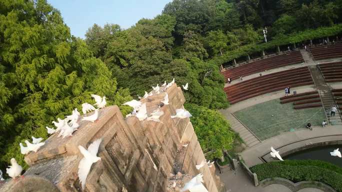 南京音乐台穿越机拍摄