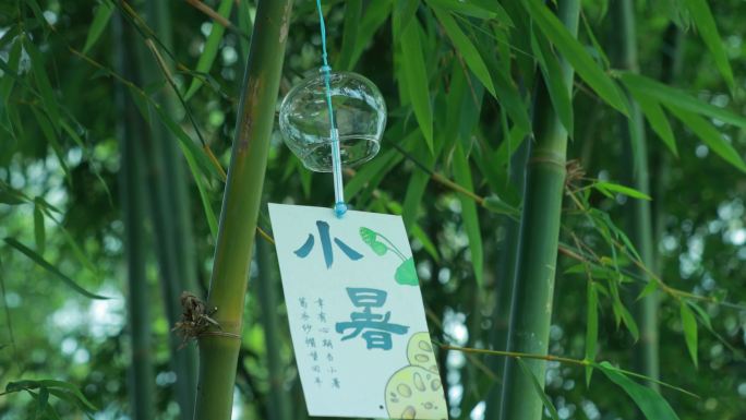 小暑节气各种场景大合集