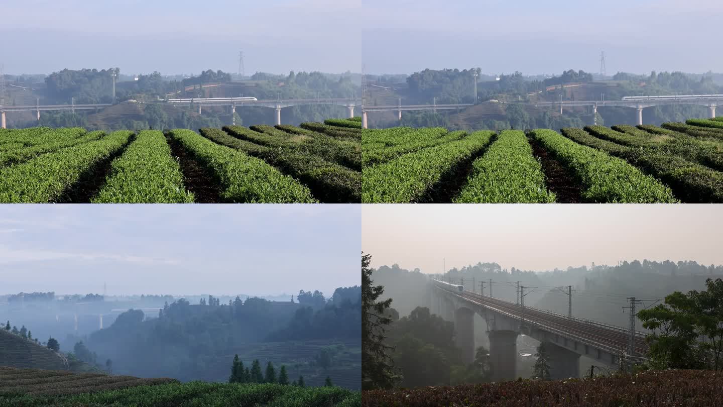 绿色茶园上的现代交通茶园风光与高铁穿梭