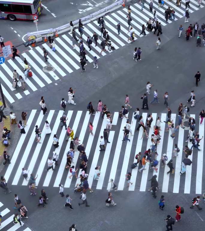 竖版人群过马路