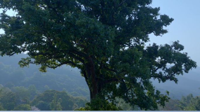 宁静山村的自然风光 古朴村落的田园生活