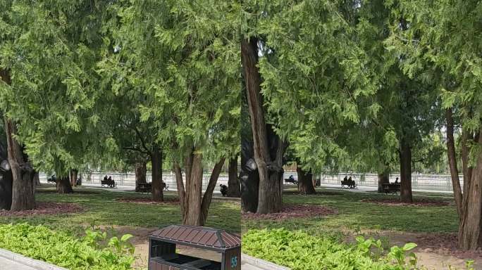公园绿树成荫休闲一隅