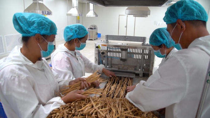 中药材生产车间加工场景