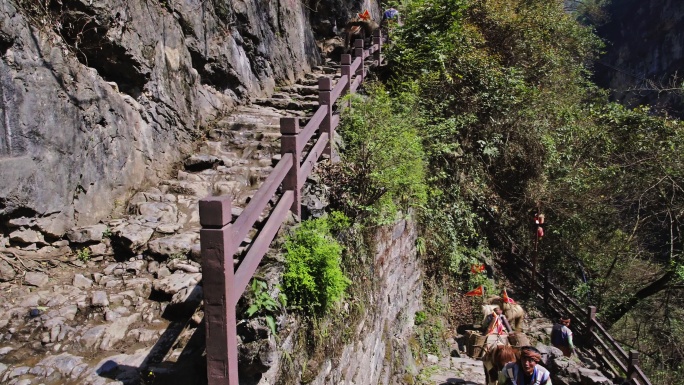 险峻山路上的马帮云南豆沙关茶马古道航拍