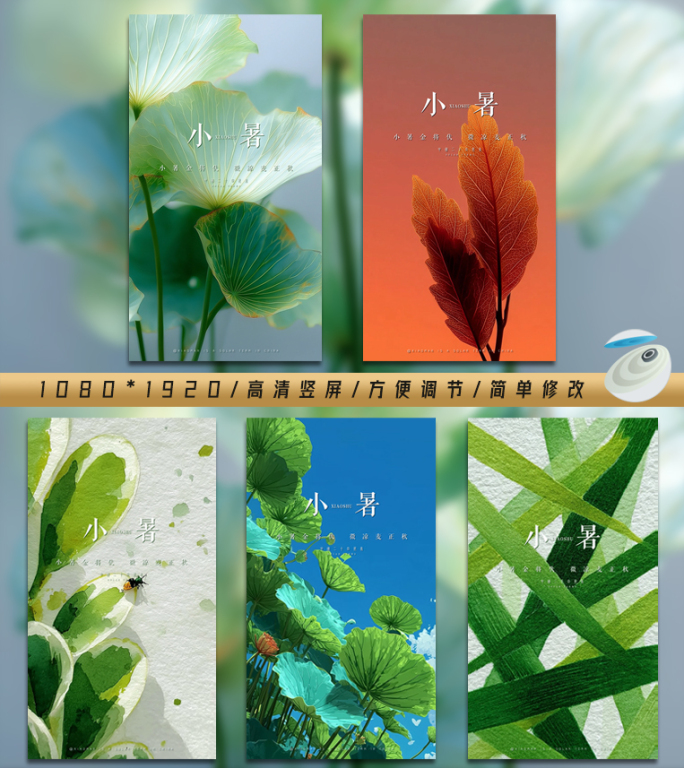 【竖屏】小暑二十四节气