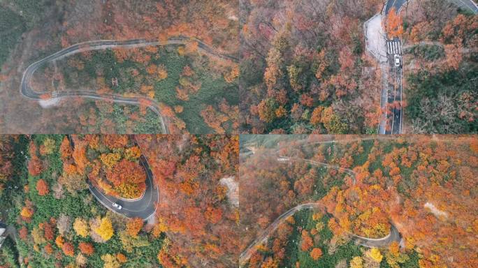 秋日花果山山路蜿蜒航拍红叶风景