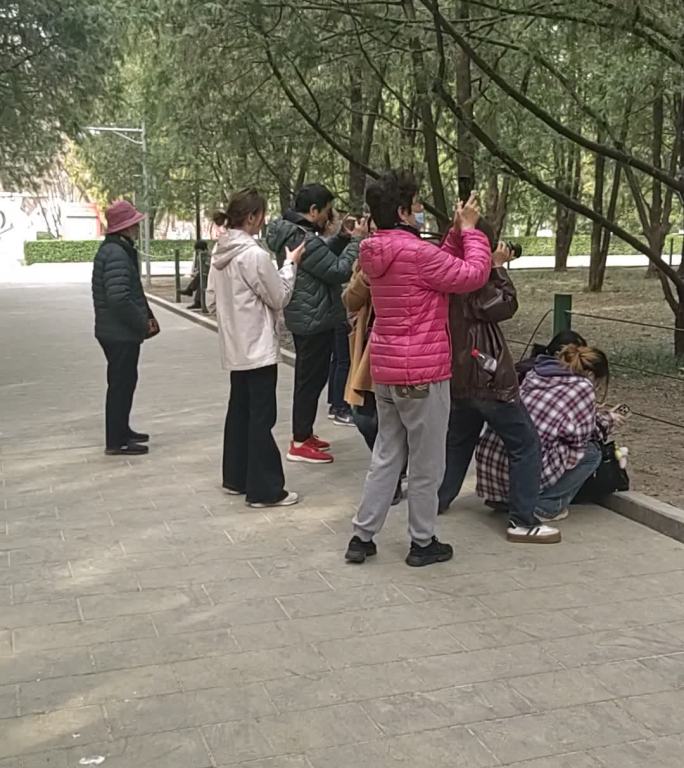 公园游客休闲观光