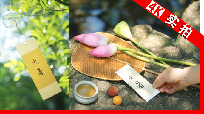小暑 节气 大暑 大暑节气 夏天