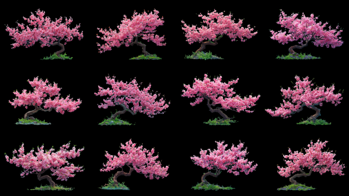 桃花树循环带通道12款