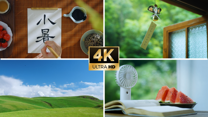 小暑节气｜唯美新疆大草原蓝天白云夏天视频
