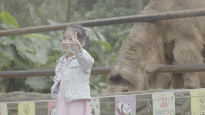 小女孩与骆驼的亲密互动