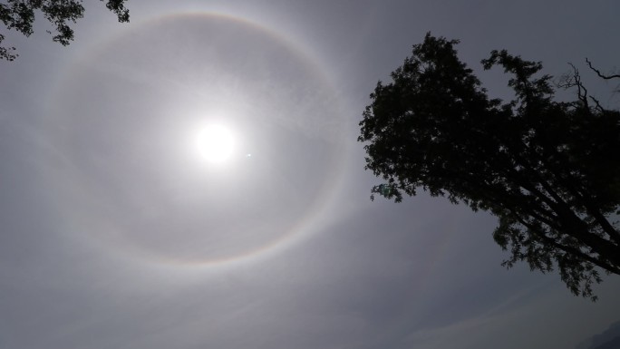 日晕奇观仰拍日晕