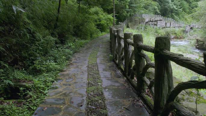 幽静山间石板路 在景区走路第一视角