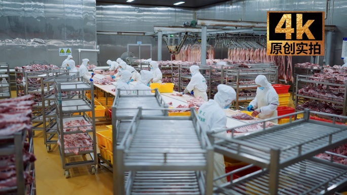 生猪养猪屠宰加工车间食品工厂肉类包装流程