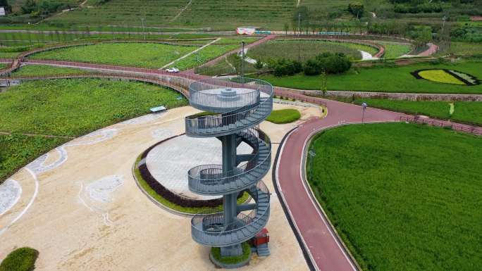 荷花莲藕莲蓬粮田小镇稻田艺术景观航拍