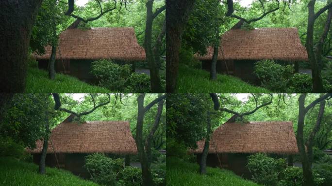 杭州茶叶博物馆风光 茅屋雨景归隐山林