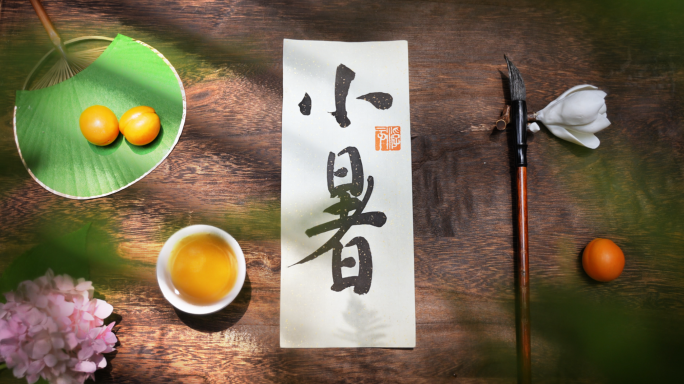 小暑 小暑节气 西瓜荷花青蛙风扇高温炎热