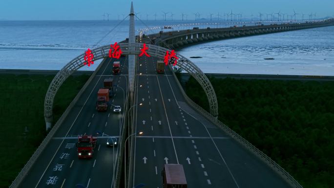 跨海大桥车流如织 东海大桥清晨车流