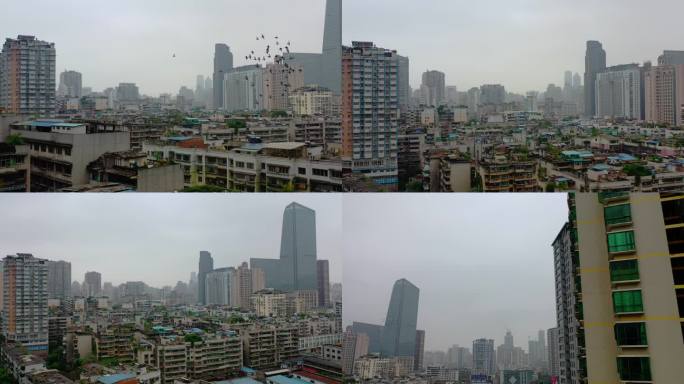 贵州贵阳老城区鸽子鸽群飞翔鸽子
