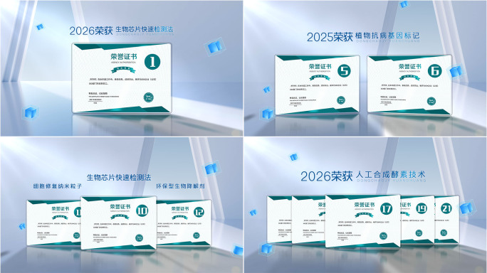 荣誉证书颁奖展示