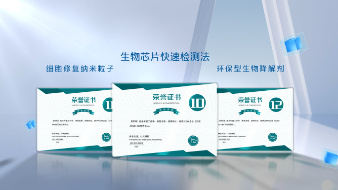 荣誉证书颁奖展示