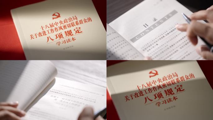 中共中央八项规定学习八项规定精神