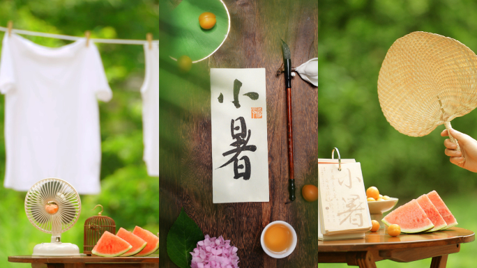 小暑 小暑节气 小暑视频 竖版 夏天 夏