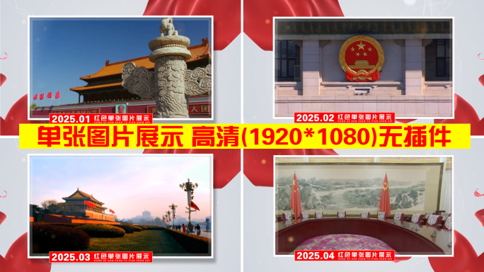 单张图片展示
