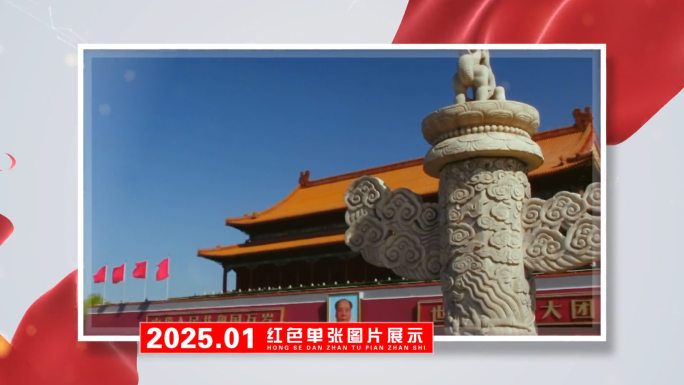 单张图片展示