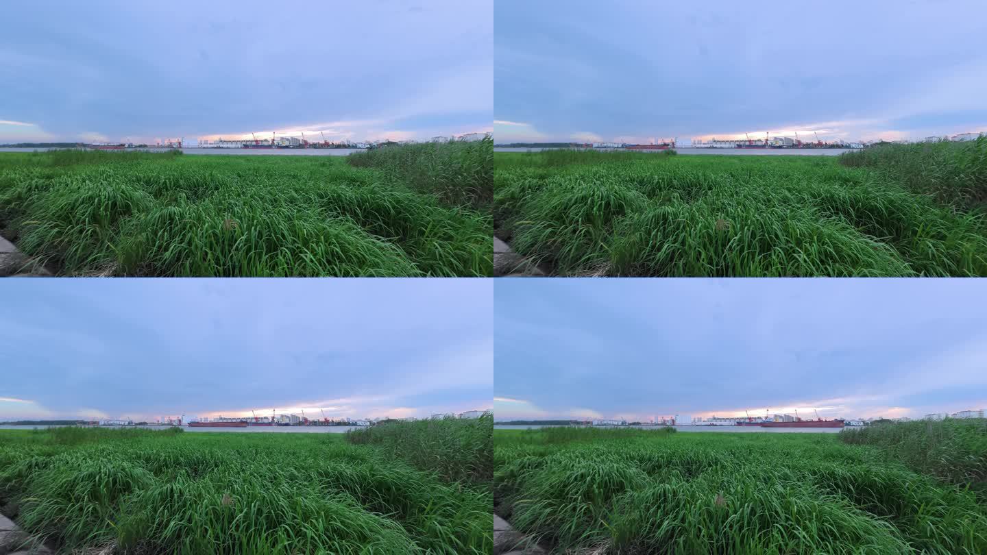 上海闵行浦锦滨江