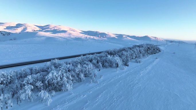 雪山和路边的霜冻树木