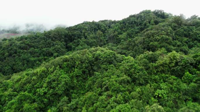 云雾下的山川河流航拍