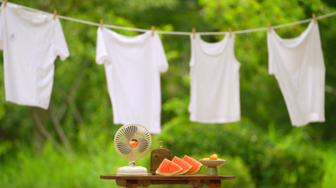 夏天夏日氛围西瓜蝉夏日阳光炎热生活
