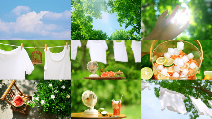 夏天夏日氛围西瓜蝉夏日阳光炎热生活