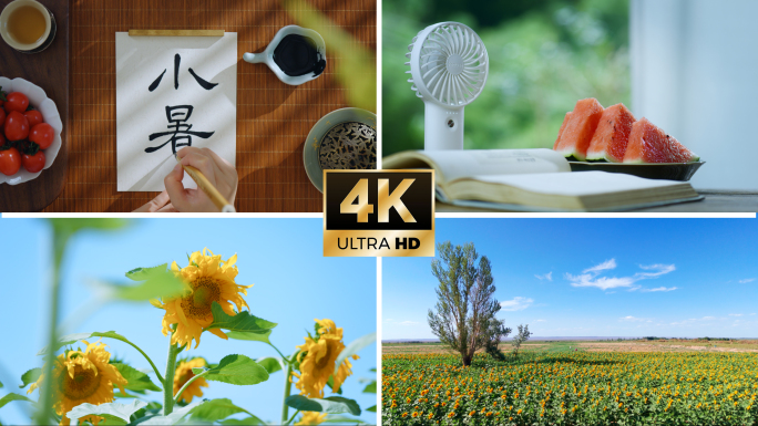 【小暑】向日葵新疆大草原森林西瓜节气视频