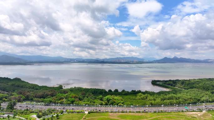 4K航拍深圳湾红树林滨海大道
