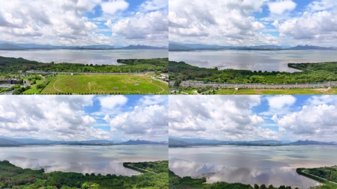 4K航拍深圳湾红树林滨海大道