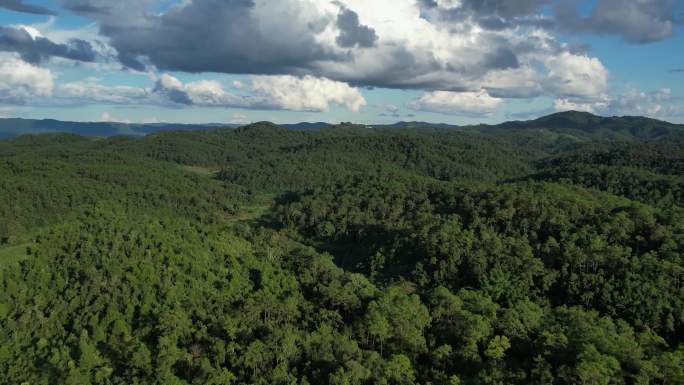 绿色山峦航拍景观