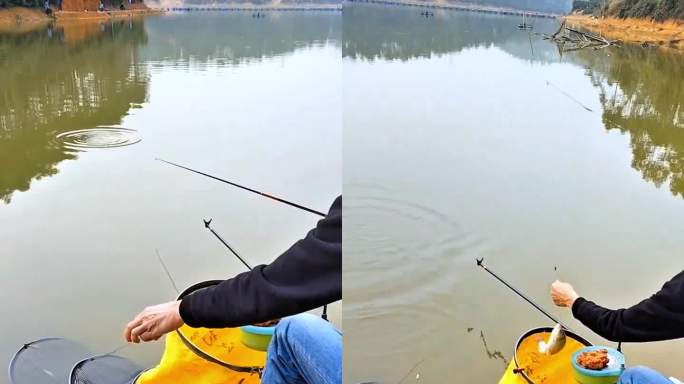 钓鱼 湖边垂钓的悠闲时光