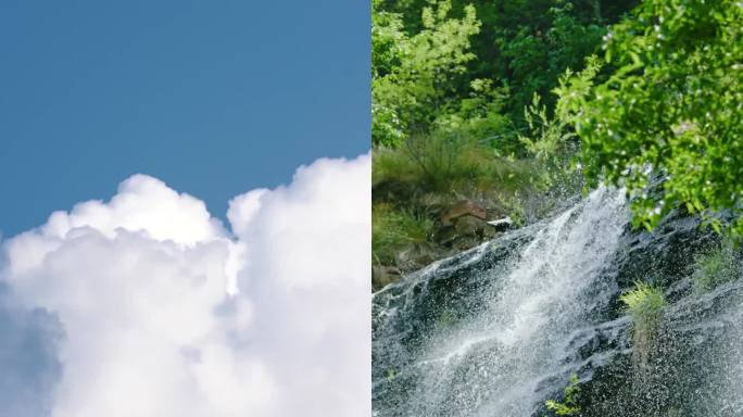 小暑 小暑节气 小暑竖版 夏天 夏日荷花