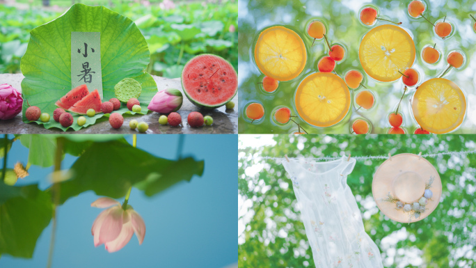 小暑 小暑节气 夏天 夏日