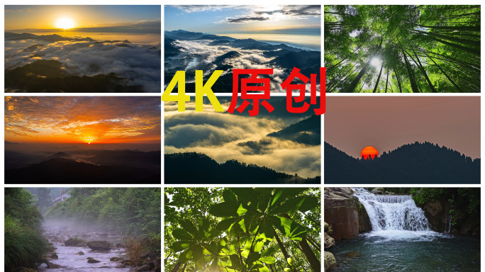 大好河山森林生态日出云海延时云雾缭绕