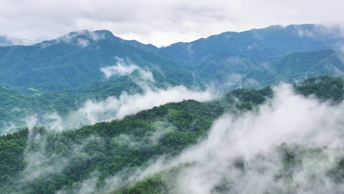 绿色山峰云海景观