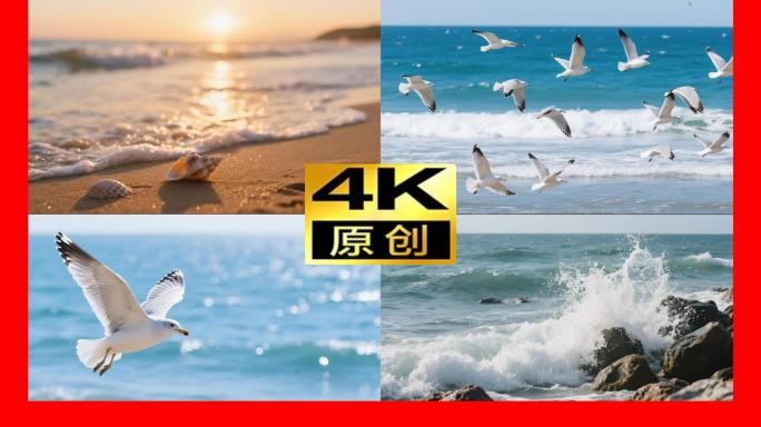 海边海鸥沙滩唯美度假夏天旅游三亚海南风景
