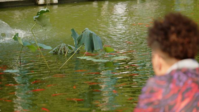 公园钓鱼垂钓锦鲤休闲