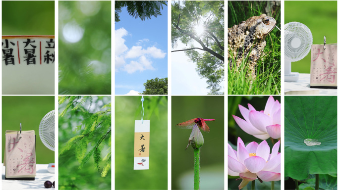 竖屏 大暑大暑节气夏季夏日夏天唯美空镜