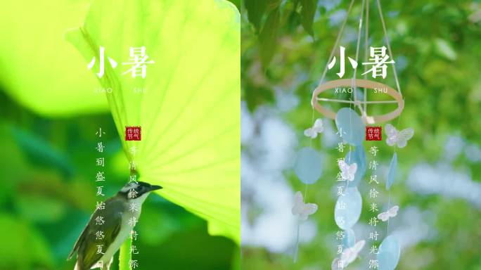 小暑 小暑节气 小暑模版 小暑动态海报
