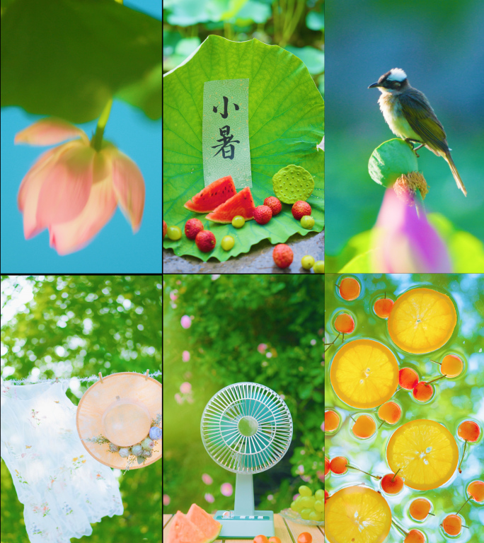 小暑 小暑节气 夏天夏日 盛夏 唯美夏日